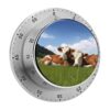60 Minute Cows Relaxed Magnetic Kitchen Timer with Loud Alarm