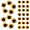 60pcs Sunflower Pushpins Decorative Plastic Iron Thumb Tacks