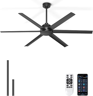 65'' Black Ceiling Fan with Lights for Indoor/Covered Outdoor Patio