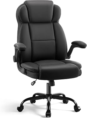 ARESHARK Ergonomic Office Chair