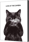 INFINIPANEL Funny Cat Bathroom Wall Art, Black and White, 8 x 10 in