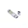 64gb USB Flash Drive Fern