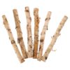 6pcs Natural Birch Wood Sticks for Crafts, Rustic Dried Branch Decor