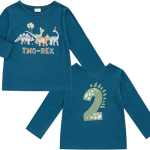 Toddler Boys 2nd Birthday Shirt 2 Year Old Birthday Long Sleeve Tee