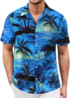 RIOOFINX Men Hawaiian Shirt