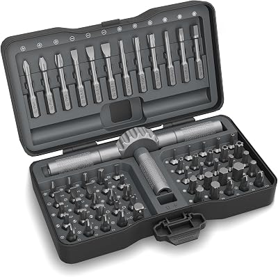 STREBITO T Handle Ratchet Screwdriver Set, 67-in-1 Ratcheting Screwdriver