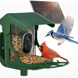 CINMOORE 2.5K Smart Bird Feeder Camera