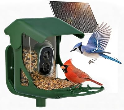 CINMOORE 2.5K Smart Bird Feeder Camera