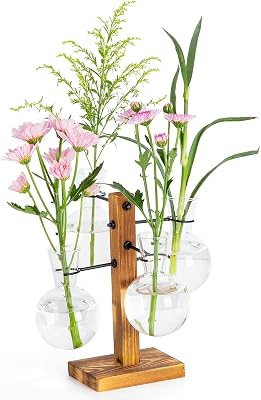 E-ROOM TREND Plant Propagation Station with Wood Stand