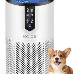 Air Purifiers for Bedroom
