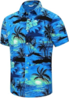 SHELUCKI Men Hawaiian Shirt