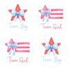80PCS 4th of July Gender Reveal Stickers, Team Boy or Girl Stickers 2 Inch