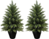 Mavis’s Diary Artificial Cedar Topiary Tree Set of 2