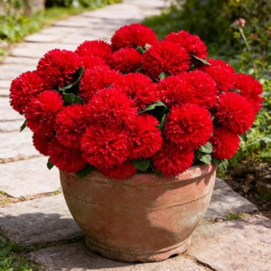 HAIDOLIANG Artificial Flowers for Outdoors