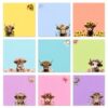 9 Pads Highland Cow Themed Sticky Notes, Cute Self-Stick Notepads, Adhesive Memo Pads Note Card, Funny Office Decor Gifts, Desk Accessories for Students, Teacher and School Supplies, 3x3in