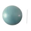 Abdominal Training Exercise Ball for Yoga and Men,Blue