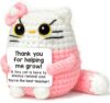AHANKERE Teacher Appreciation Gifts,Teacher Gifts for Women,End of Year Teacher Gifts,Graduation Birthday Retirement Cat Gift for Teachers,Handmade Crochet Cat Decorate Gift,Pink