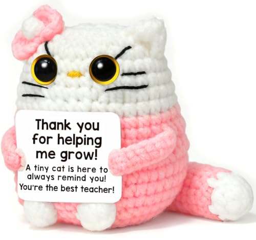 AHANKERE Teacher Appreciation Gifts,Teacher Gifts for Women,End of Year Teacher Gifts,Graduation Birthday Retirement Cat Gift for Teachers,Handmade Crochet Cat Decorate Gift,Pink