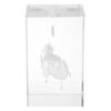 Alasum Crystal Cube Human Heart Anatomy Model Decorative Figure