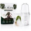 Alocasia Longibola Purple, Complete Tissue Culture Kit – Rare Live Alocasia Plant - Indoor Houseplant, Rare Plants Live