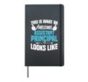 An Awesome Assistant Principal Looks Like Cool Funny School Hardcover Journal, Black
