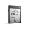 Angelbird AV PRO SE CFexpress B v4 256 GB - CFexpress 4.0 Type B Memory Card - Essentials for Your Kit - for Photo and Video Workflows
