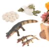 Animal Life Cycle | Crocodile Figure Decor | Animal Growth Cycle Toy