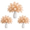AntiLousy 11-14'' Champagne Ostrich Feathers 60 Pcs Champagne Feathers for Wedding Centerpieces, DIY Crafts, and Floral Arrangements