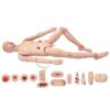 AonVengeur Advanced Full-Function Nursing Training Manikin (Male)