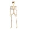 APGLSXY Life Size Poseable Skeleton Halloween Decoration Full Human Body Hanging Props