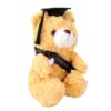 Aqur2020 Graduation Bear Plush, 22cm Soft Teddy with Cap