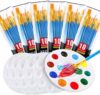 AROIC Paint Brush Palette Set, 6 Packs of 60 Brushes and 6 Tray Palettes