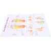 ARTIBETTER Foot Reflexology Chart Poster for Education Canvas Wall Hanging