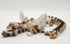 Articulated Chocolate Chip Cookie Dragon Fidget Toy