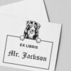 Australian Shepherd Peeking Ex Libris Book Stamp, Duo Hand Mount