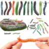 Authentic Caterpillar 24 Pcs for Kids as April Fool Prank