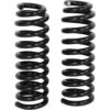 AUTOMUTO Front Coil Springs for Ford F-150 2004-2020 / Mark LT 2006-2008