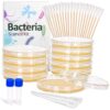 Bacteria Growing Kit with Pre-Poured Agar Plates | LB Agar Petri Dishes for Kids, Students | Ready-to-Use for Science Fair Projects, School Labs & Home Experiments
