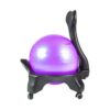 Balance Ball Chair with Wheels and Back Support