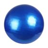 Ball Stability Exercise Gymnastics Ball Heavy Duty PVC Material Suitable for Men Women Home Office Workouts, 55CM Blue