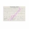 Baloshona Script Alphabet Poster Creative Alphabet Chart