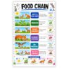 banner4you Food Chain Poster for Kids, Ecosystem Science Chart, Food Web & Producer Consumer Educational Wall Art for Elementary & Middle School, Double-Sided Laminated, 11x17 Inch