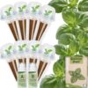Basil Seed Pods Kit Hydroponic - Refill Herb Pod for All Indoor Garden, 8 Grow Pods with Seeds of Genovese Basil & Plant Food, Compatible with All Hydroponics Growing Systems