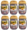 Bath and Body Works Classic and Seasonal Scents Pocketbac Hand Gel - Pack of 6-1 oz each (White Pumpkin)