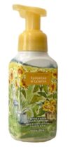 Bath & Body Works Gentle & Clean Foaming Hand Soap - Sunshine & Lemons