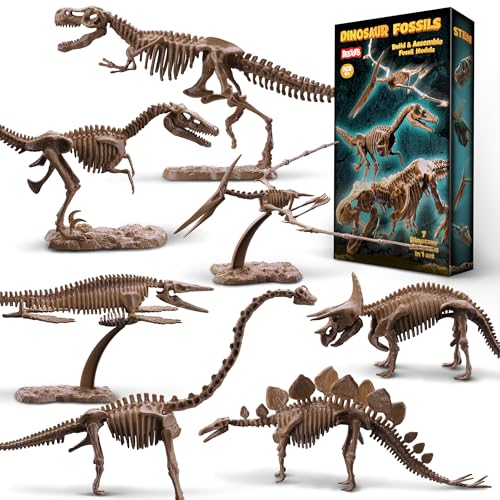 Beetots 7-Pack Big Dinosaur Fossil Skeleton Building Kit | Take Apart & Rebuild Dinosaur Bones Models | STEM Science Archaeology Toy Gift for Kids 6+ | T-Rex, Triceratops, Velociraptor