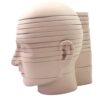 BIBEZE Brain Head Teaching Model Horizontal Brain CT Model, Detachable Human Brain Cross Section, for Medical Class Study