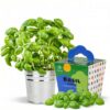Bloom Life Basil Grow Kit, All-in-One Indoor Herb Garden Starter Kit with Conical Metal Planter, Complete Growing Set for Beginners, Kitchen Windowsill Gardening