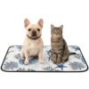 Blue Coastal Washable Pee Pads for Dogs 18"x24" Summer Beach Sea Stars Coral Nautical Wooden Board Waterproof Non-Slip Dog Pads for Puppy, Senior & Incontinent Dogs Playpen, Travel Crate Liner Use