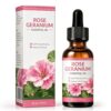 Bmrewax Rose Geranium Oil - 4 Fl Oz